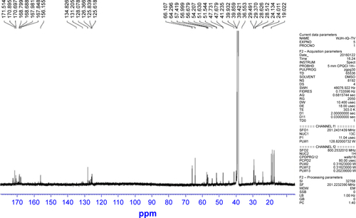 Figure S2 13C NMR spectrum of IQCA-TAVV.Abbreviations: IQCA-TAVV, 3S-1,2,3,4-tetrahydroisoquinoline-3-carbonyl-Thr-Ala-Arg-Gly-Asp(Val)-Val; NMR, nuclear magnetic resonance.