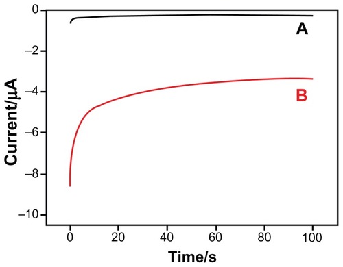 Figure 2 Current–time curves of the ssDNA-modified electrodes dripped 3 μL streptavidin-HRP in 500 μL TMB substrate before and after hybridization with target sequence. Curve (A) indicates the ssDNA-modified electrode without hybridization; Curve (B) indicates the ssDNA-modified electrode with hybridization.Abbreviations: HRP, horseradish peroxidase; ssDNA, single-stranded DNA; TMB, 3,3′,5,5′-tetramethylbenzidine.