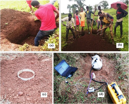 Figure 2. Preparation of the experimental area and measurement of soil respiration. (a) Excavation of the soil, (b) refilling of the hole, (c) polyvinyl chloride collar inserted into the experimental plot, and (d) measurement of heterotrophic respiration.