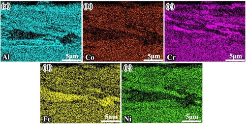 Figure 15. EDS mapping of elemental distribution in the oxide film at 1000°C wear trace cross-section (a) Al; (b) Co; (c) Cr; (d) Fe; (e) Ni.