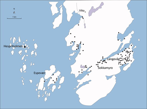 Figure 3. Distribution of Mesolithic and Neolithic workshop sites in the Southern part of Bømlo (after Alsaker Citation1987). The Vika site is in the north.