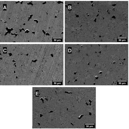 Figure 4. SEM micrographs of the sintered samples transverse sections. In order: (A) 50_60; (B) 50_75; (C) 100_60; (D) 100_75; (E) 100_90.