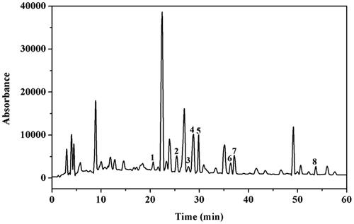 Figure 1. The chromatographic profile of Erxian Decoction (EXD); orcinol (1), mangiferin (2), 2, 6-dimethoxybenzoic acid (3), ferulic acid (4), curculigoside (5), berberine (6), epimedin C (7), and rubiadin (8). Peaks (1–8) were assigned based on the UV absorption and retention times of the authentic samples.