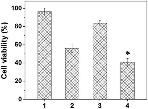 Figure 8. The HNE-1 cell viability treated with different formulations (n = 5) (1: blank Tf-HPAA-GO; 2: Tf-HPAA-GO/DOC (1 µg/well DOC); 3: Tf-HPAA-GO/pMMP-9 (weight ratio of 20, 0.65 µg/well pMMP-9); 4: Tf-HPAA-GO/DOC/pMMP-9 (weight ratio of 20, 1 µg/well DOC, 0.65 µg/well pMMP-9)).