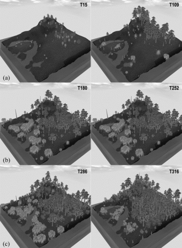 Figure 12 An ecological simulation of the interaction between agent-based plants and their environment.