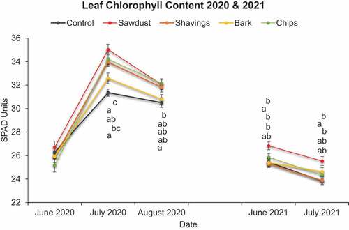 Figure 4. Monthly mean wild blueberry leaf tissue chlorophyll content in spad units by mulch type. Error bars represent the SEM (n = 1,200). Points not connected by the same letter are statistically different at the 0.05 level of significance based on Tukey’s HSD test. Letters representing statistical significance are ordered from top down to correspond to the same order of treatments listed in the legend from left to right to help distinguish among treatments.