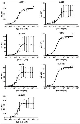 Figure 2. Binding of IgG 3–43 to HER3-expressing tumor cell lines. Various tumor cell lines (as indicated) were incubated with varying concentrations of IgG 3–43 and bound antibody was detected with a PE-labeled secondary anti-human Fc antibody and analyzed by flow cytometry (n = 3, ± SD).