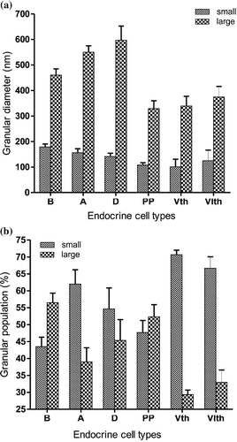 Figure 10. (a) Histograms (representing mean ± SE values) showing diameters (nm) of small and large secretory granules of different endocrine cells (B, A, D, PP, Vth and VIth) in the splenic lobe of the pancreas of Lissemys turtles. (b) Histograms (representing mean ± SE values) showing populations (%) of small and large secretory granules of different endocrine cell types (B, A, D, PP, Vth and VIth) in the splenic lobe of the pancreas of Lissemys turtles.