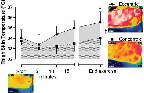 Figure 3. Thigh skin temperature (°C) at baseline (start) and during CON (■) and ECC (●) cycling terminating at the equivalent time point (end exercise; +0.5°C increase in aural temperature during the ECC trial). A representative thermal image (from one subject) at baseline (start) and equivalent time of termination (end exercise) for ECC and CON trials visually represents the elevated skin temperature directly above the contracting muscle. † p < 0.05 CON v ECC during the period of cycling. *p < 0.05 CON v ECC trial at end exercise. Data are expressed as mean ± SD (n = 8)