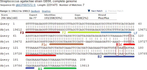 Figure 2. False priming sites between LAMP primers and DNA template of S. dysgalactiae.