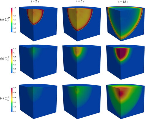 Figure 6. Spatial distribution of relative concentrations in interstitial tissue (a), blood vessels (b), and lymphatic vessels (c) at specific time steps under the injected volume of 2.0 mL.