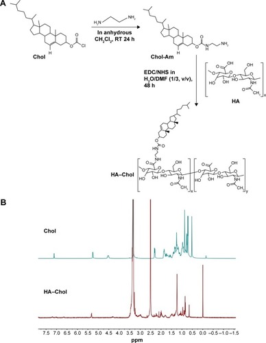 Figure 1 Synthesis of HA-Chol conjugation and its identification through NMR.Note: (A) Synthetic scheme of HA–Chol. (B) 1H NMR spectrum of Chol and HA–Chol conjugates. HA–Chol was dissolved in DMSO-d6 and analyzed by 1H NMR using Bruker Avance III 400 MHz NMR.Abbreviations: Chol, cholesterol; Chol-Am, cholesteryl amine; CH2Cl2, methylene chloride; DMF, N,N-dimethylformamide; DMSO-d6, dimethyl sulfoxide-d6; EDC, 1-(3-dimethylaminopropyl)-3-ethylcarbodiimide; h, hours; HA, hyaluronic acid; HA–Chol, hyaluronic acid–cholesterol conjugates; NHS, N-hydroxysuccinimide; NMR, nuclear magnetic resonance; RT, room temperature.