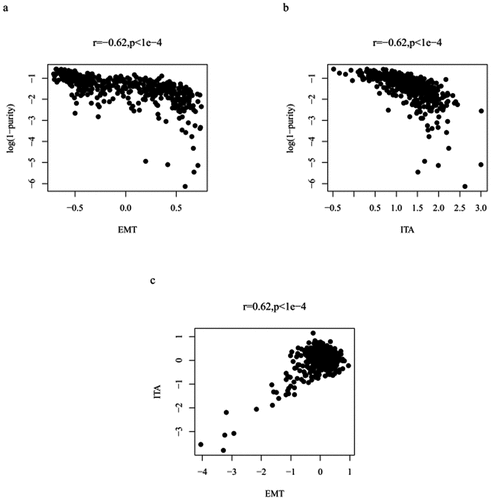 Figure 2. Plot illustrating the correlation between adjusted EMT and tumor purity (a); plot depicting the correlation between adjusted ITA and tumor purity (b); plot highlighting the adjusted EMT and ITA correlation (c)