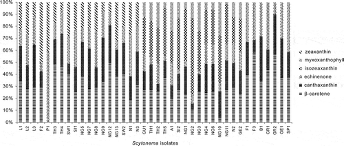 Fig. 3. Percentages of total carotenoids in different Scytonema cultures. Scytonema isolate codes are given in Table 1.