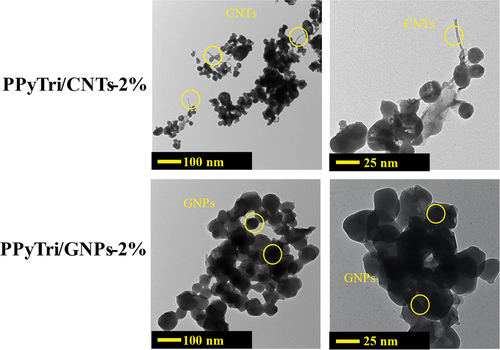 Figure 8. TEM images of the nanocomposites PPyTri/CNTs-2% and PPyTri/GNPs-2%.