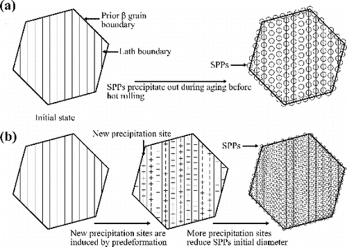 Figure 11. Schematic interpretation of the precipitation of SPPs in: (a) directly hot rolled samples, and (b) in pre-deformed ones. The amount of SPPs and precipitation sites is only a schematic, not a quantitative representation.