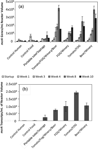 Figure 3. (a) Quantity of methanogens in digesters: mcrA genes per reactor volume as a function of time. (b) Activity of methanogens in digesters: mcrA transcripts per reactor volume at week 8. (Error bars represent standard deviations).