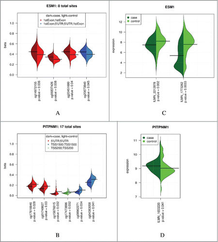 Figure 3. Case and control methylation and expression levels for 2 multi-site genes. Multi-site results for ESM1 and PITPNM1. Plots of COPD case-control methylation for CpG sites with 5% FDR and β-diff > 1%; ESM1 (A), PITPNM1 (B). Corresponding gene expression plots for these genes (case-control differential expression P-values are unadjusted); ESM1 (C), PITPNM1 (D).