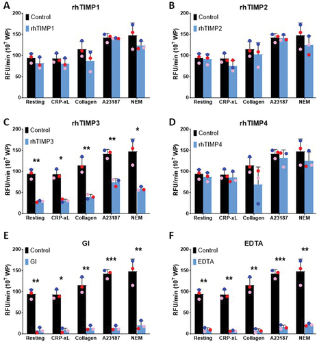 Figure 4. TIMP3 selectively inhibits activated platelet ADAM10 activity.