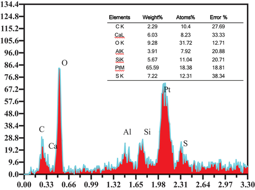 Figure 17. EDS analysis of the internal self-healing products of cracks.