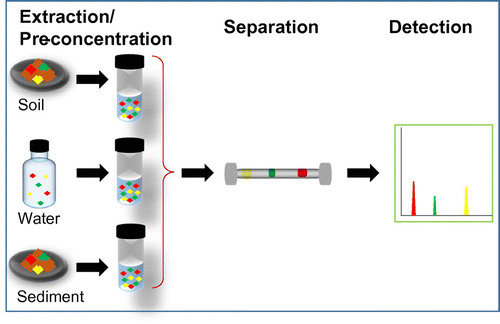 Figure 1. General steps in the speciation analysis of Hg in environmental samples.