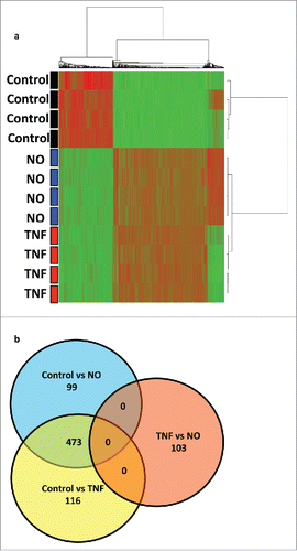 Figure 6. Comparative transcriptional profiling of HUVECs treated with NO donor GTN or TNF. (a) Unsupervised cluster analysis of untreated HUVECs (controls) versus HUVECs treated with low dose NO donor GTN (100 μM) or treated with TNF (10 ng/mL). (b) Venn-diagram of genes differentially expressed in control, NO, and TNF treatment (p < 0.001, fold change > 2 ). 473 genes were upregulated by both TNF and NO treatment.