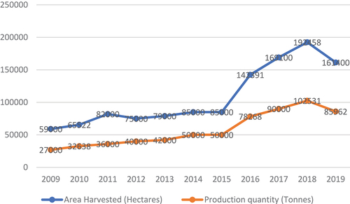 Figure 3. Cashew production in Ghana from 2009 to 2019