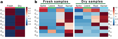 Figure 1. (a) heatmap of the relative abundance of those AR detected in all samples separating into fresh (FW) and dry (DW) triticale samples. (b) heatmaps of the relative abundance of those AR detected in FW and DW-derived extracts per plant part.
