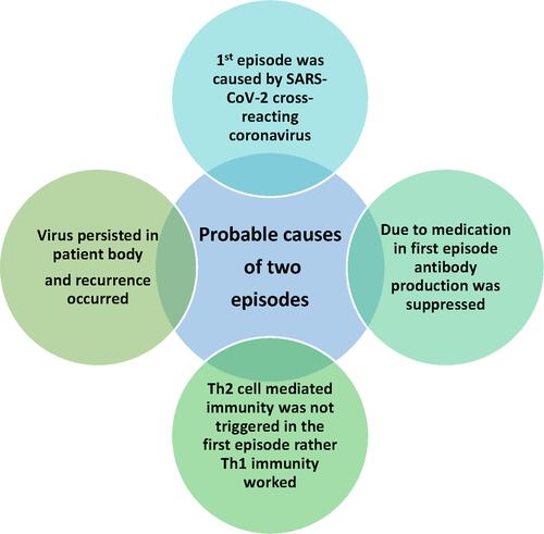 Figure 4 Probable causes for two episodes of symptoms. The first episode did not present a significant antibody increase. The symptoms presentation during the first episode may be due to cross-reacting coronavirus infection. Medication may have resulted in the suppression of antibody development during the first episode. In addition to it, lack of Th2 cell-mediated immunity activation in the first episode may cause the lack of antibody development. This, in turn, may lead to virus persistence or viral reinfection, resulting in a second episode of the presentation of the symptoms, which may have led to activation of Th2 cell-mediated immunity.