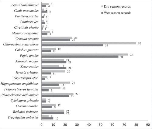 Figure 5. Mammalian species frequency of records in wet and dry seasons.