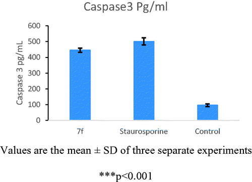 Figure 7. Caspase 3 levels in K562 after treatment with compound 7f.