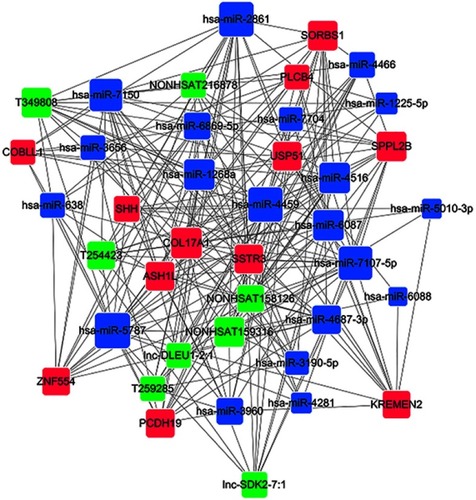 Figure 10 miRNA-lncRNA-mRNA coexpression network. The red rectangles represent the mRNAs, the blue rectangles represent the miRNAs, and the green rectangles represent the lncRNAs.