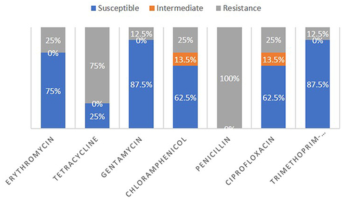 Figure 3 Summary of the antibiotic susceptibility test results of MRSA isolates.