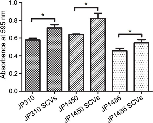 Figure 3 Biofilm formation ability of three rifampicin-resistant S. aureus strains and corresponding SCVs. The results were the average of three replicate wells performed in three independent experiments, and statistically significant differences (P <0.05, Student’s t-test) were marked with *.