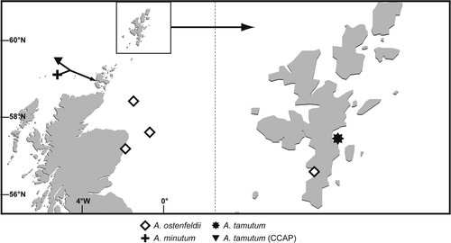 Fig. 5. Locations of A. minutum, A. ostenfeldii and A. tamutum established in culture during this study. Locations of A. tamutum (previously unidentified isolates from CCAP) are included.