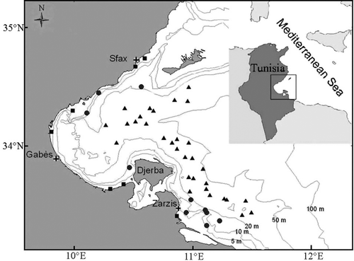 Figure 1. Map of the Gulf of Gabès (Tunisia, Central Mediterranean Sea) showing the sampling localities. Triangle (trawls), squared (demersal gillnets) and circle (longline).