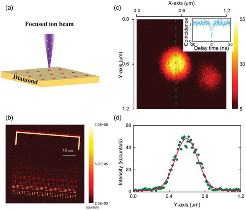 Figure 4. (a) Schematic diagram of ion implantation according to Ref [Citation64].; (b) Fluorescence image of the silicon-implanted region on the diamond sample after annealing; (c) Fluorescence scan image of a single SiV color center, the inset is fluorescence photon correlation measurement of this color center; (d) Line-scan across the SiV center along Y-axis and a fit with Gauss function