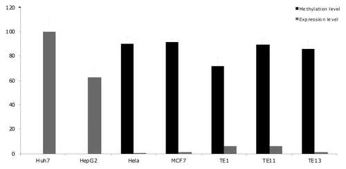 Figure 2 CpG methylation and expression of HNF1A in different cell lines. CpG methylation and expression of HNF1A were quantified in seven cell lines. Expression levels are normalized to expression in Huh7 cell line. Methylation levels are shown as average percentage of methylation on four analyzed CPG sites.