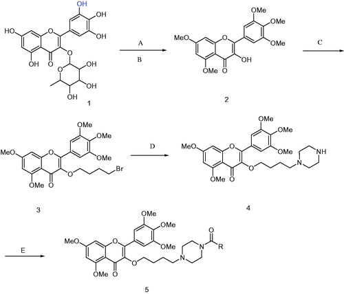 Scheme 1. Synthesis of compounds 5a∼5l. 5a: R = 2,4-difluorobenzoyl 5b: R = 2,6-difluorobenzoyl 5c: R = 2-chloro-6-fluorobenzoyl 5d: R = 3-fluorobenzoyl 5e: R = 2-nitrobenzoyl 5f: R = 4-trifluoromethyl 5g: R = 4-nitrobenzoyl 5h: R = 4-chlorobenzoyl 5i: R = isonicotinoyl 5j: R = benzoyl 5k: R = 3,5-dinitrobenzoyl 5l: R = 5-chloro-2-nitrobenzoyl. Reagent and conditions: (A) K2CO3, DMF, CH3I, r.t. 48 h; (B) 5% HCl, 95% ethanol, reflux, 2 h; (C) Br(CH2)4Br, acetone, K2CO3, reflux, 12 h; (D) K2CO3, DMF, Piperazine, r.t. 12 h; (E) HATU, DCM, RCOOH, r.t. 12 h.