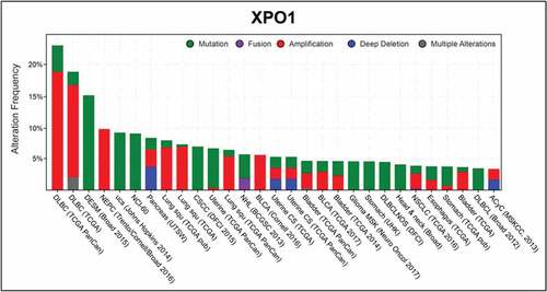 Figure 3. XPO1 alterations in cancers