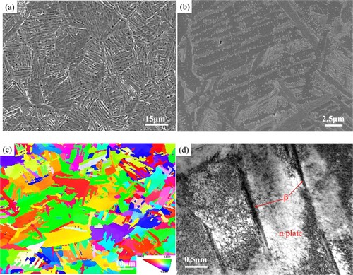 Figure 4. (a) and (b) SEM images, (c) EBSD IPF map and (d) TEM bright-field image showing the microstructure of the 700-FC sample.