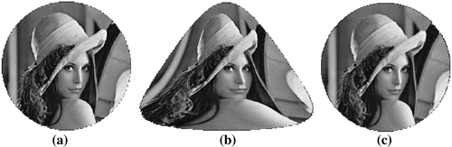 Figure 3. (a) original image of Lena (cropped in a circle shape), Nx=Ny=256; (b) deformed image, β=180∘,D=1.4; (c) inverse deformation of (b). The minor isotropic blurring effect of two bilinear interpolations (forward-backward deformation steps) is noticeable in (c).