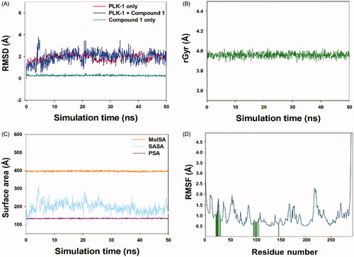 Figure 10. Molecular dynamics simulation of compound 1 and PLK-1. (A) RMSD plot of compound 1-PLK-1 complex as function of simulation time, (B) variation in the radius of gyration (rGyr) of compound 1, (C) Variation in molecular surface area (MolSA), solvent accessible surface area (SASA), and polar surface area (PSA) of compound 1 and PLK-1 complex as a function of simulation time, and (D) RMSF variations of PLK-1 interacting with compound 1.