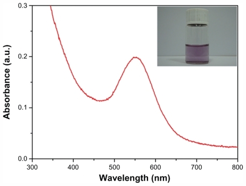 Figure 1 UV-visible absorption spectra of as-prepared gold nanoparticles. Inset photograph shows the reaction solution.