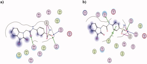 Figure 5. The 2D presentation of 2h molecular docking study interacting with the tumour-associated isoforms hCA IX (a) and XII (b) using PDB ID 3IAI and 1JD0, respectively.