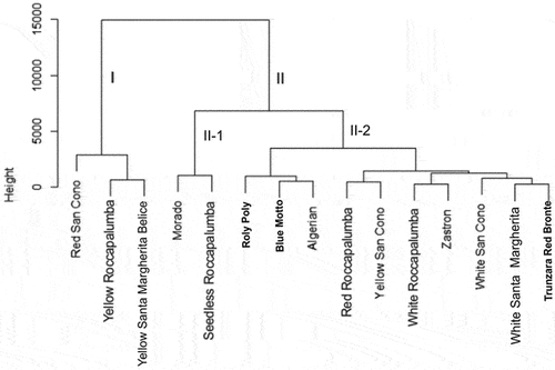 Figure 4. Ward’s clustering dendrogram of 15 cactus pear accessions based on 17 above-ground and below-ground traits.