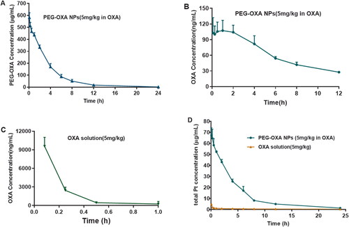 Figure 3. The mean plasma concentration-time curves of PEG-OXA NPs and OXA solution (mean ± SD, n = 6). (A) Mean plasma concentration–time curves of PEG-OXA prodrug after intravenous administration of PEG-OXA NPs to rats. (B) Mean plasma concentration–time curves of OXA in rats after intravenous administration of PEG-OXA NPs. (C) Mean plasma concentration–time curves of OXA after intravenous administration of OXA solution to rats. (D) Mean plasma concentration–time curves of total Pt after intravenous administration of PEG-OXA NPs or OXA solution to rats.