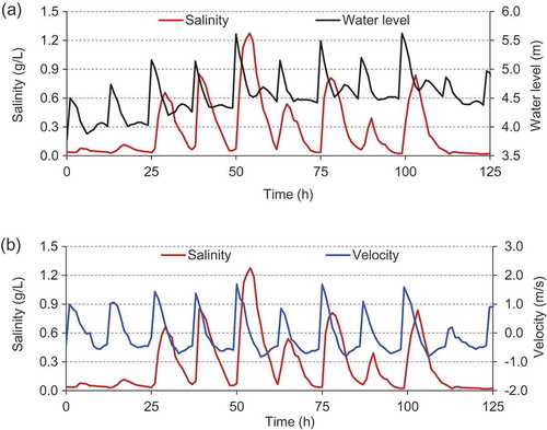 Figure 4. (a) Water level and (b) velocity versus salinity data collected at Station A (the velocity was positive if it was landward, while it was negative if it was seaward).