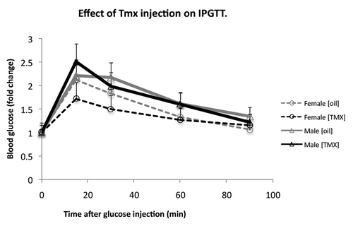 Figure 4. Tamoxifen [Tmx] injections do not alter glucose tolerance in double-transgenic ROSA-LacZ:MIP1-CreERT mice. IPGTT in 16 wk old ROSA26/LacZ:MIP1-CreERT males and females, before injection with tamoxifen and one week after a round of 5 injections (100mg/kg/day). Each group consisted of 5–7 mice.