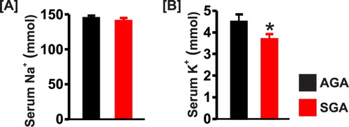 Figure 5. Bar graphs summarizing serum concentrations of (a) sodium, (b) potassium in AGA and SGA newborn pigs (n = 5 each); *P < 0.05 vs. AGA.